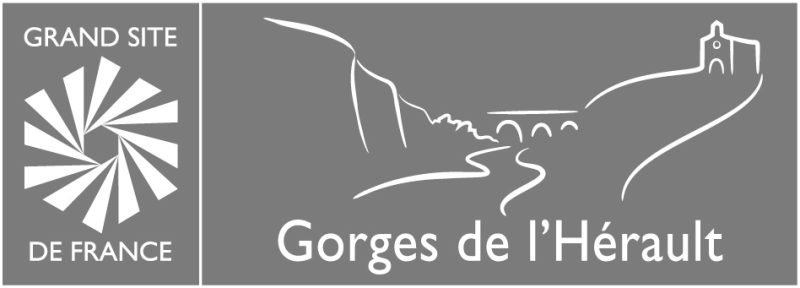 Cartouche-Gorges-Herault-Gris (1)